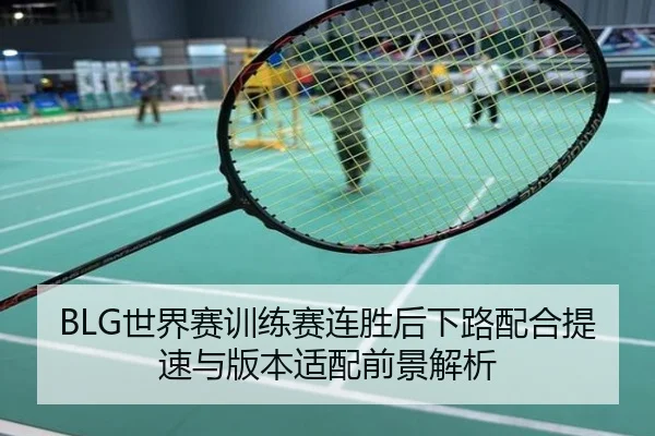 BLG世界赛训练赛连胜后下路配合提速与版本适配前景解析