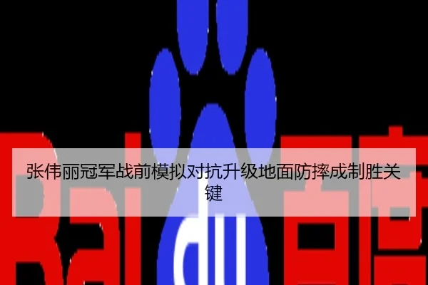 张伟丽冠军战前模拟对抗升级地面防摔成制胜关键
